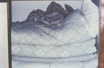 a futon in the closet